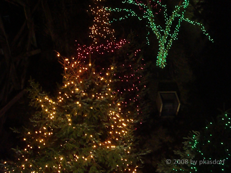 016 Toledo Zoo Light Show [2008 Dec 27].JPG - Scenes from the Toledo Zoo Light Show.